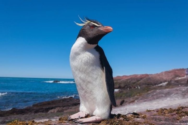 Discover Patagonia - Image 2