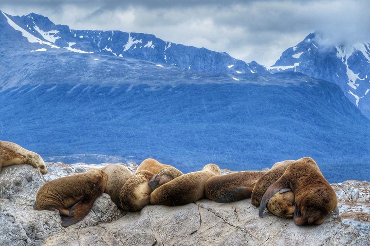 Discover Patagonia - Image 5