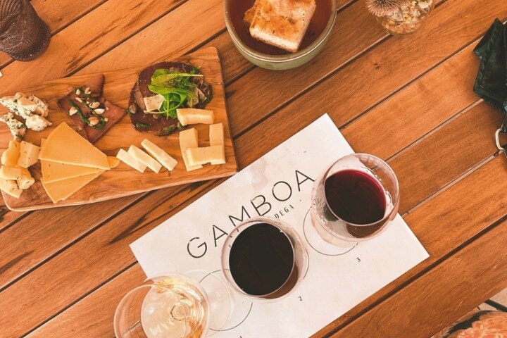 Enjoy a Rural Experience in a Vineyard near Buenos Aires - Image 2