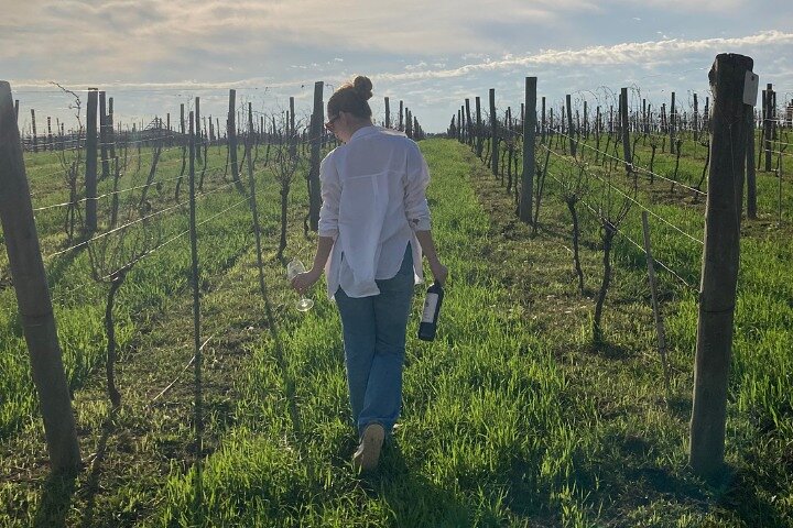 Enjoy a Rural Experience in a Vineyard near Buenos Aires - Image 4
