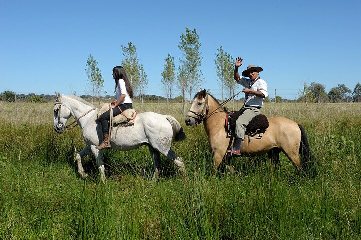 Full-Day Horseback Riding Experience in Carlos Keen - Image 1