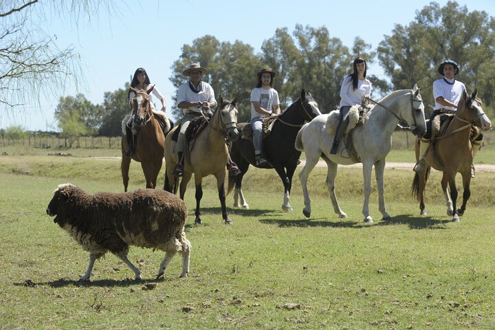 Full-Day Horseback Riding Experience in Carlos Keen - Image 4