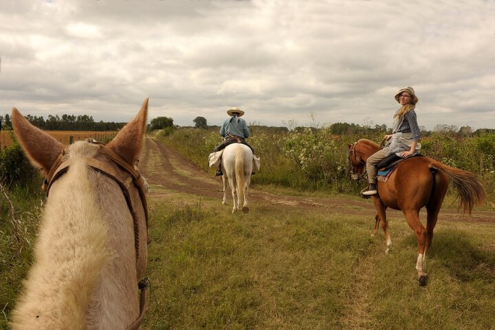Full-Day Horseback Riding Experience in Carlos Keen - Image 3