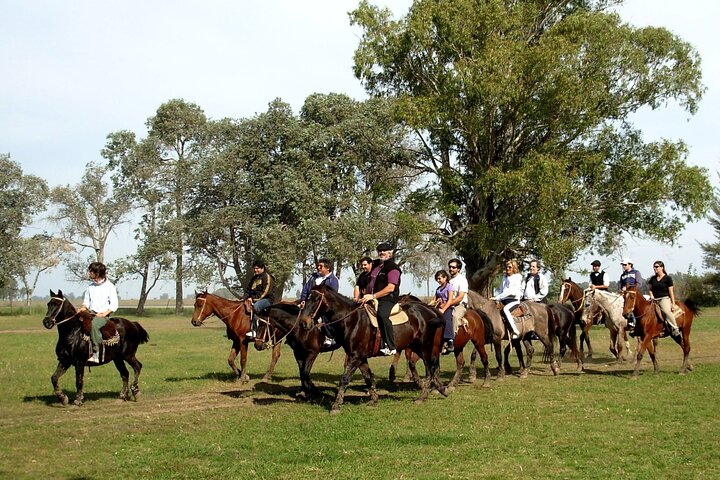 Gaucho Day Tour in Argentina to Estancia Don Silvano - Image 4
