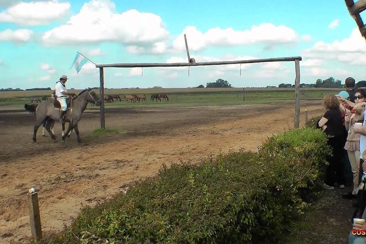 Gaucho Fiesta with lunch - full day tour for Cruise passengers - Image 2