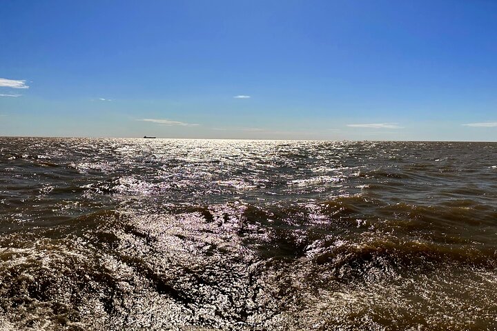 Navigation by Delta Tigre and Rio De La Plata - Image 5