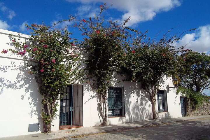 Premium Day Tour To Colonia From Buenos Aires - Image 3