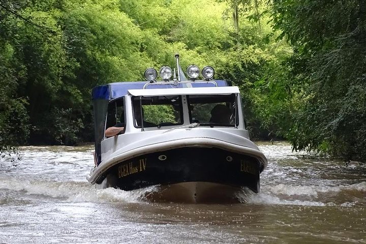 Private Boat TripTour to Tigre Delta - Image 5