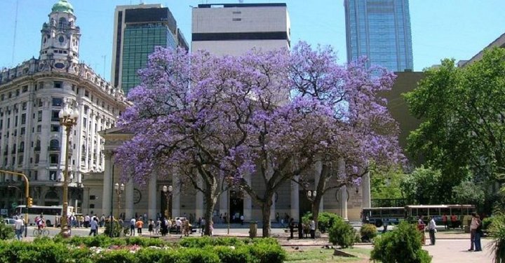 Private Buenos Aires City Tour from Cruise Terminal - Image 2