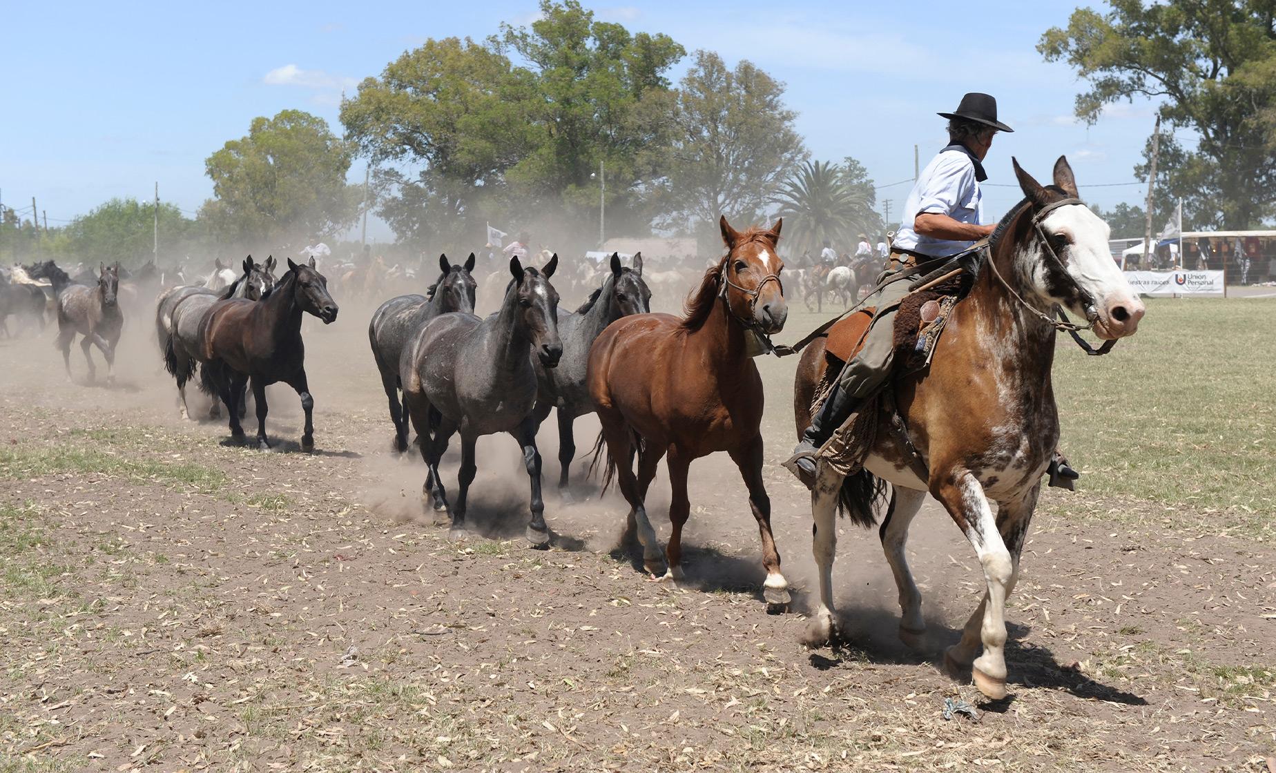 Private Gaucho Fiesta with Lunch - Image 1