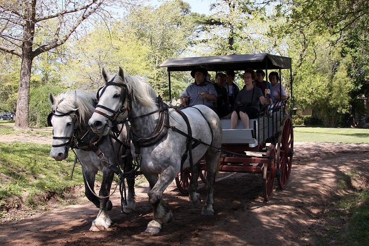 Private GAUCHO TOUR - FULL DAY TRIP Guided in EN, SPA or FR - Argentina - Image 1