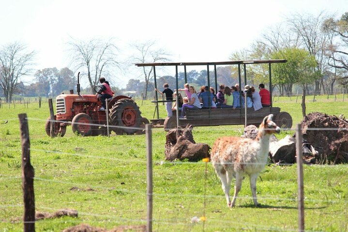 Private Tour: Don Silvano Gaucho Ranch from Buenos Aires - Image 5