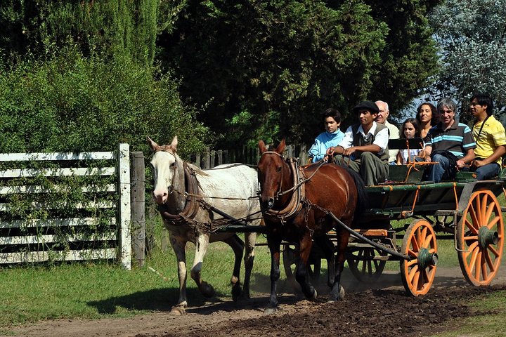 Private Tour: Don Silvano Gaucho Ranch from Buenos Aires - Image 1
