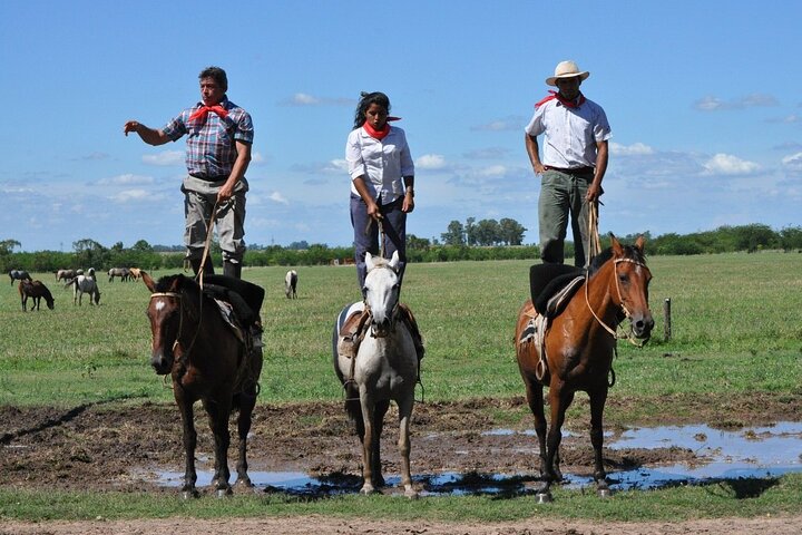 Private Tour: Don Silvano Gaucho Ranch from Buenos Aires - Image 3