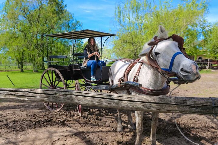 Private Tour: Gaucho Ranch in San Antonio de Areco from Buenos Aires - Image 3