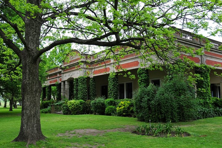 Private Tour: Gaucho Ranch in San Antonio de Areco from Buenos Aires - Image 4