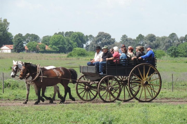 Private Tour: Santa Susana Gaucho Ranch from Buenos Aires - Image 2