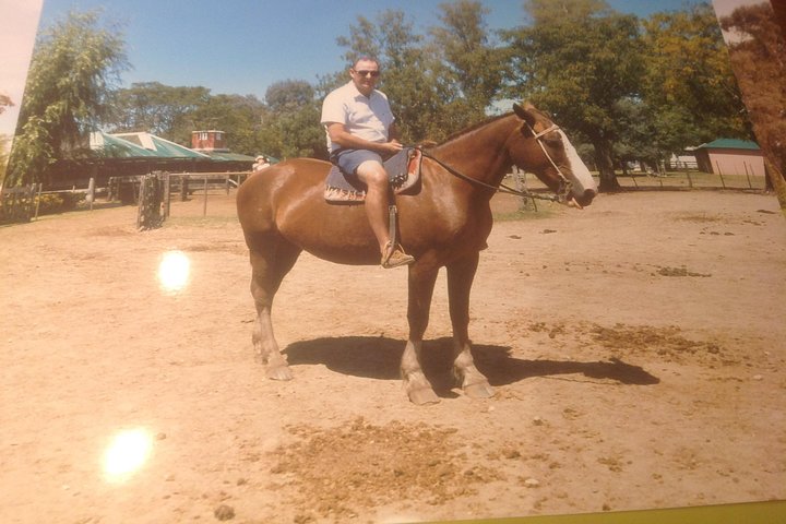 Ranch trip with private driver - Image 2