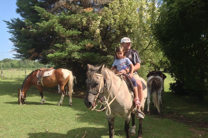 Ranch trip with private driver - Image 3