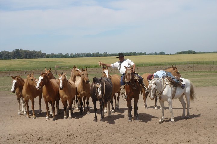 Ranch trip with private driver - Image 1