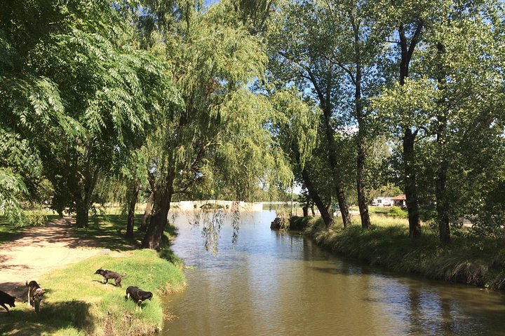 San Antonio de Areco and Lujan Day Trip from Buenos Aires - Image 1