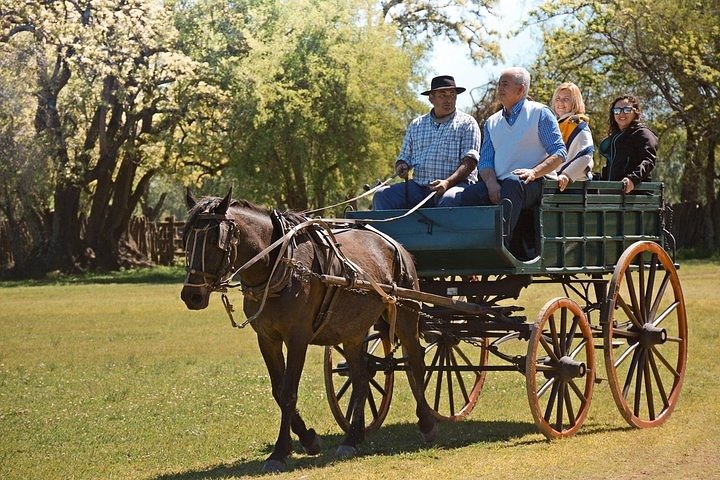 Shore Excursion: Premium Estancia Tour to San Antonio de Areco - Image 2