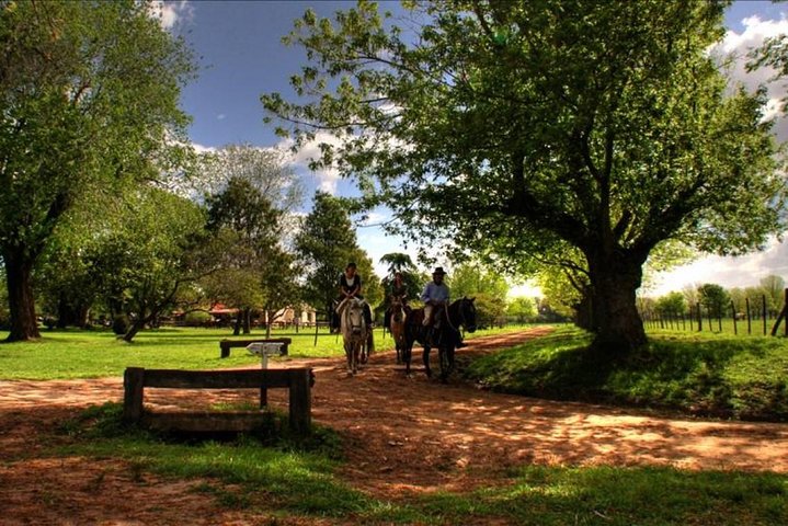 Shore Excursion: Small Group Estancia Tour to San Antonio de Areco - Image 5