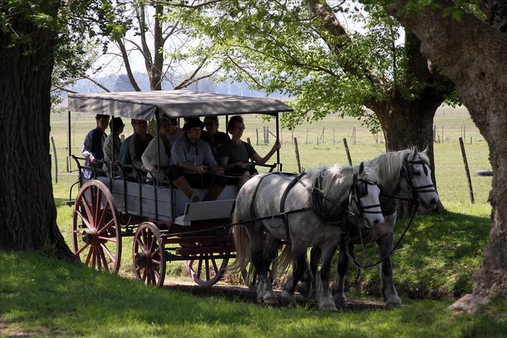 Shore Excursion: Small Group Estancia Tour to San Antonio de Areco - Image 4