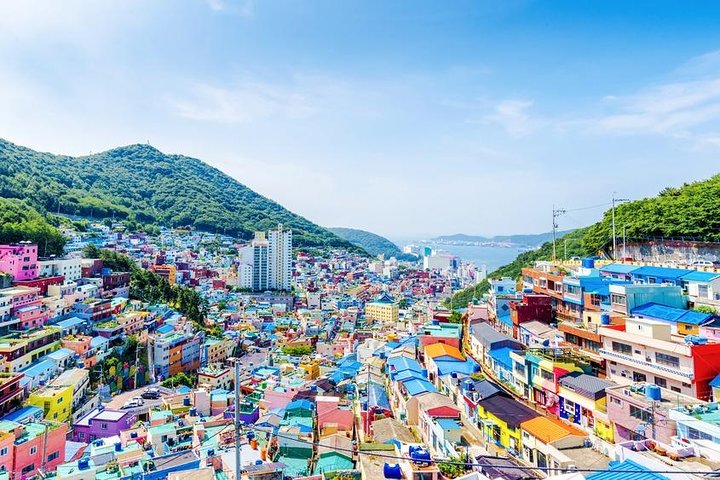 Busan: Fully Customizable Private Tour - Image 4