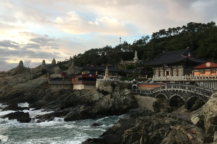 Busan highlight small group tour including Gamcheon and Yonggugsa temple - Image 1