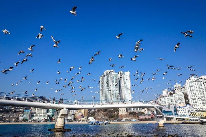 Busan Korean BBQ and Skywalk - Image 4
