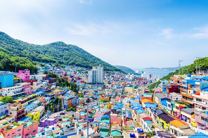 Busan Private Fullday Tour (From min 2 ppl) - Image 5