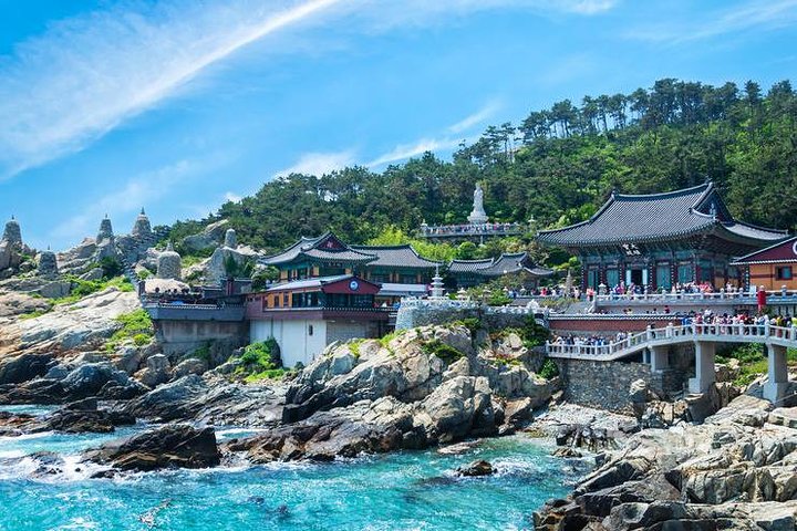 Busan Private Fullday Tour (From min 2 ppl) - Image 2