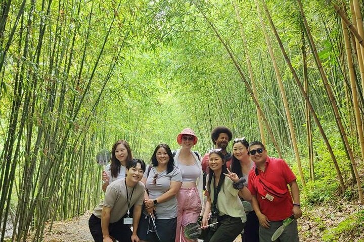 Busan Private Tour : Tailored Experiences for Your Group Only! - Image 3