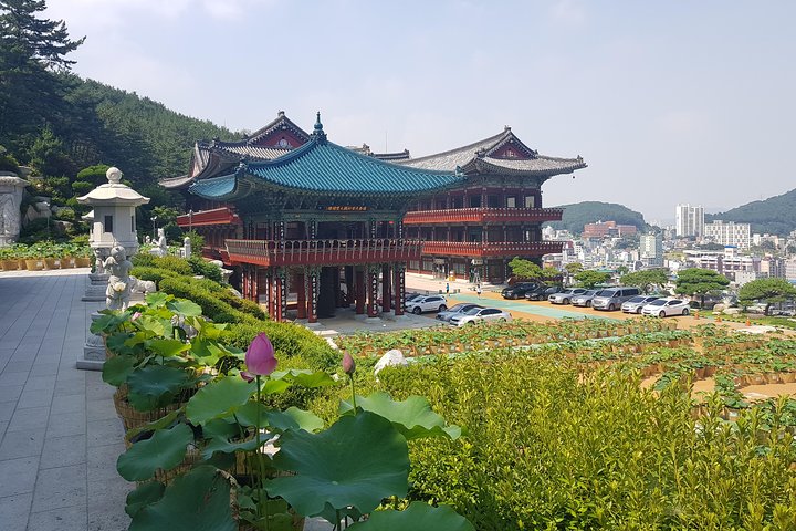 Busan Shore Excursion Tour with Gamcheon Culture Village - Image 4