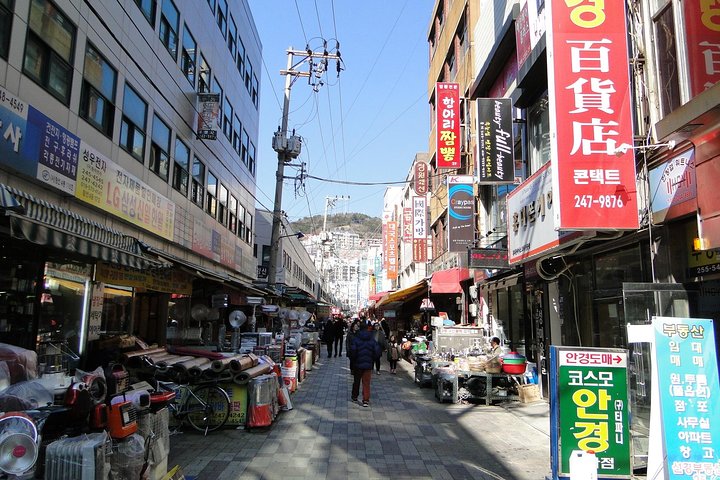 Cherry blossom tour in Busan and Jinhae from Busan - Image 3