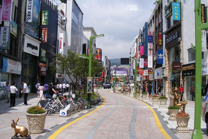Cherry blossom tour in Busan and Jinhae from Busan - Image 4