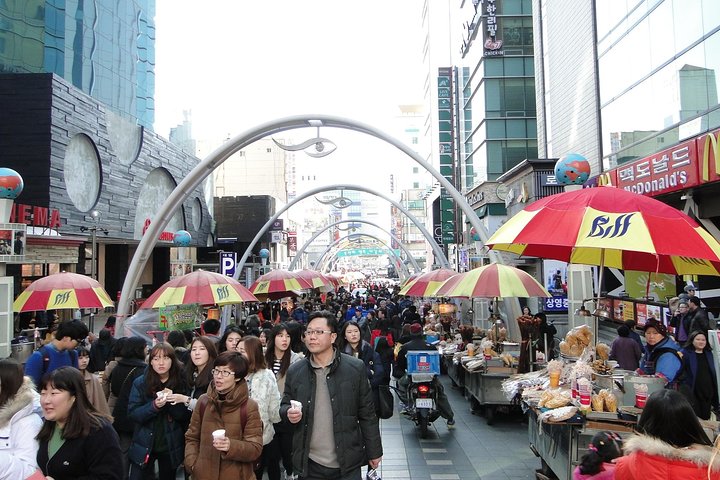 Cherry blossom tour in Busan and Jinhae from Busan - Image 2