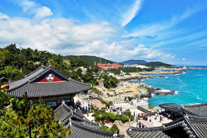 Cruise Layover : Small Group Busan Highlight Day Tour  - Image 2