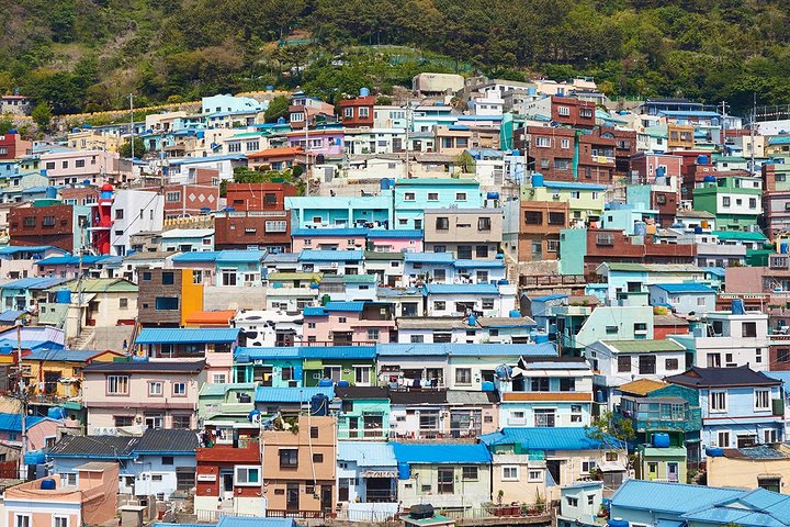 Cruise Layover : Small Group Busan Highlight Day Tour  - Image 4