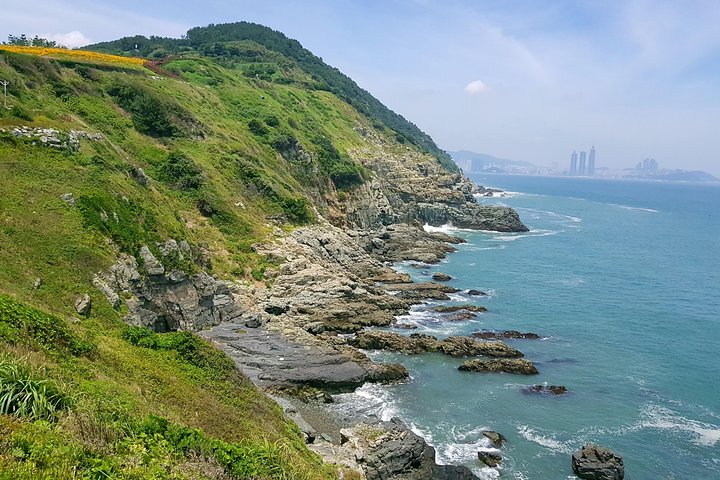 Full-Day Busan Tour Including Haedong Yonggungsa Temple - Image 3