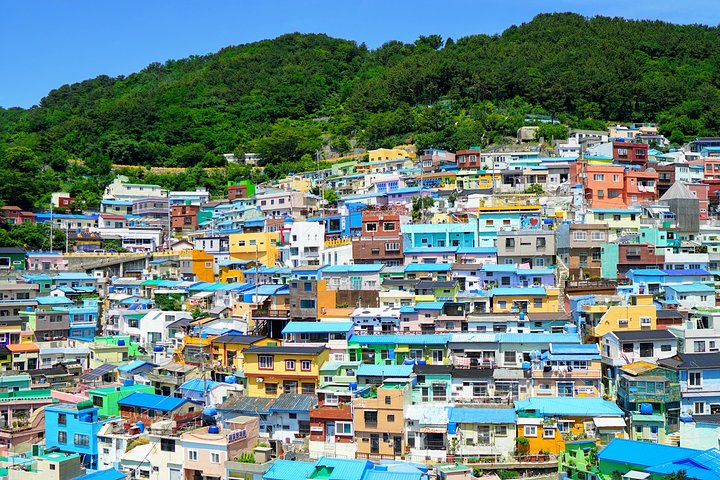 Full-Day Customizable Private Busan Highlight Tour  - Image 5