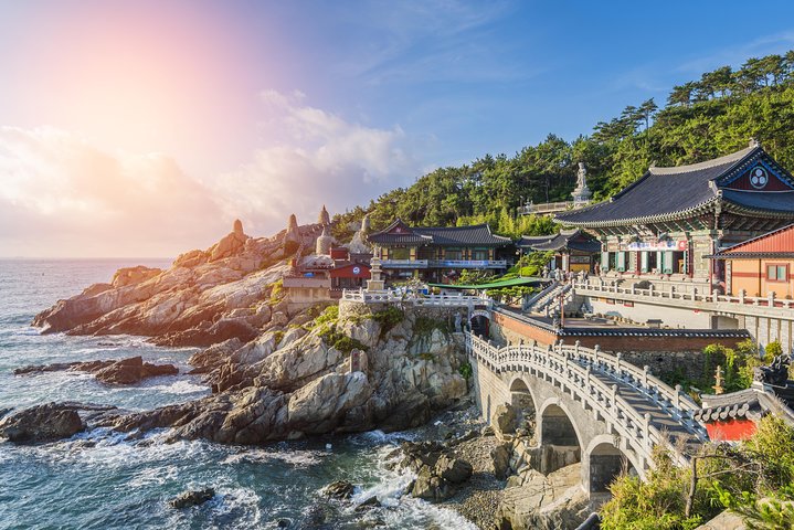 Full-Day Customizable Private Busan Highlight Tour  - Image 1