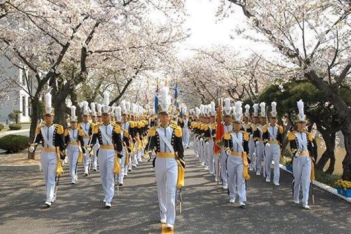 Full-Day Jinhae Cherry Blossom festival Private tour - Image 2