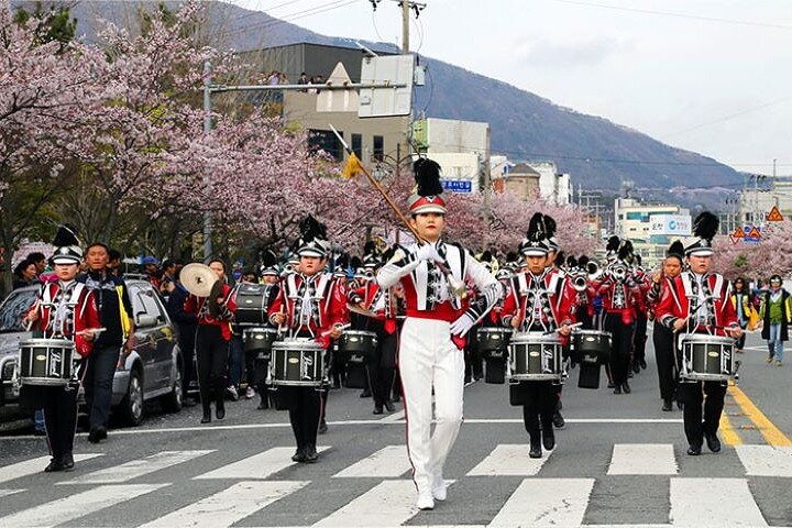 Full-Day Jinhae Cherry Blossom festival Private tour - Image 3