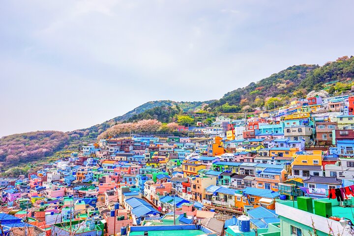 Full Day Private Shore Tour in Busan from Busan Cruise Port - Image 5