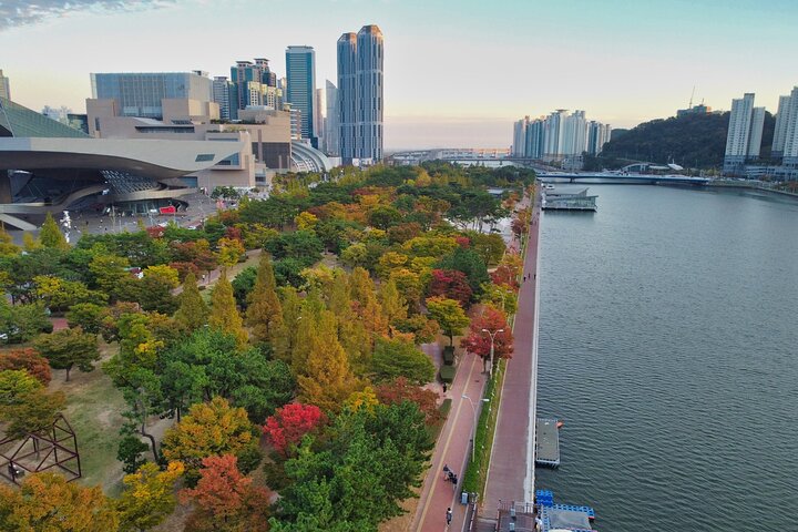Full Day Private Shore Tour in Busan from Busan Cruise Port - Image 1