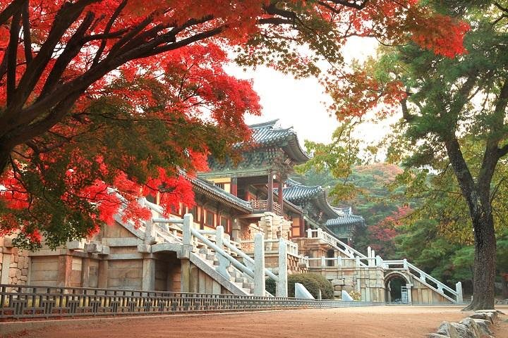 Gyeongju ONE-DAY Highlights for PRIVATE CRUISE PASSENGER'S - Image 1