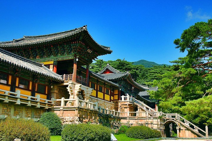 Gyeongju Private Tour with hidden gem by local tour guide - Image 1