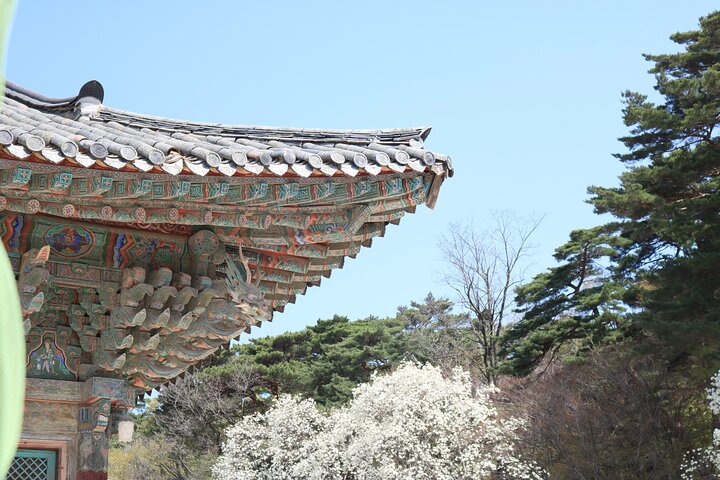 Gyeongju the UNESCO Sites Tour for Small Group - Image 2